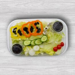 سالاد رژیمی